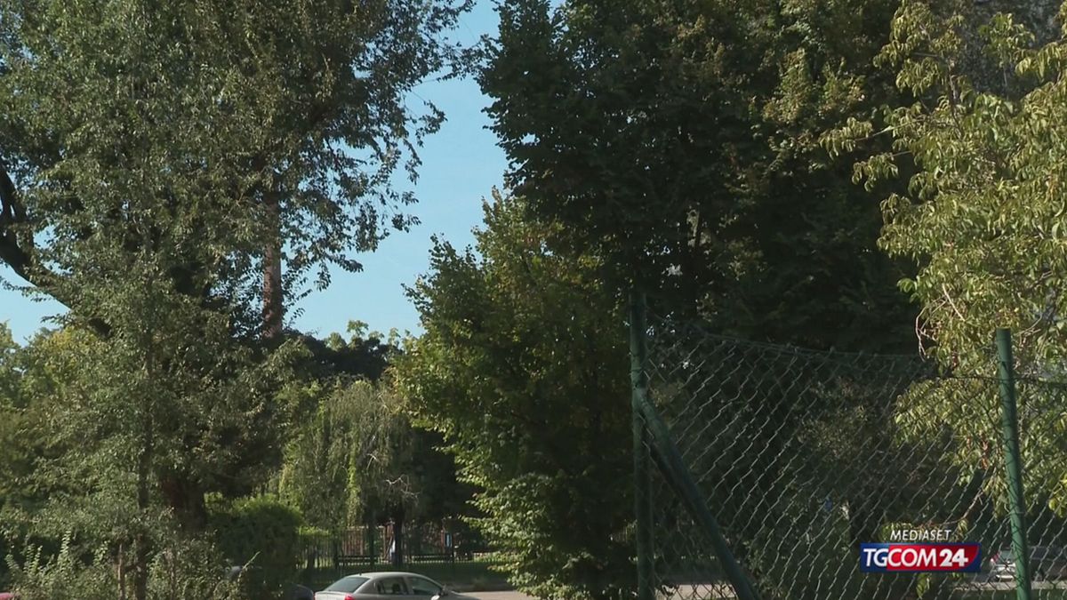 MILANO ALBERI X SITO SRV