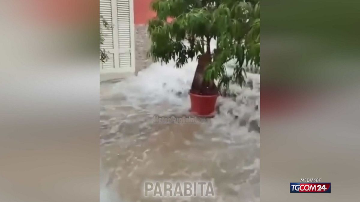 12.00 MALTEMPO AL SUD SRV