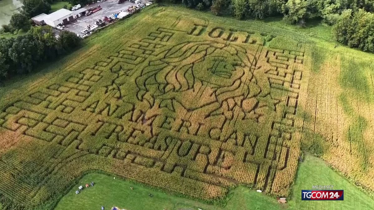 Dolly Parton, il suo volto diventa un gigantesco labirinto