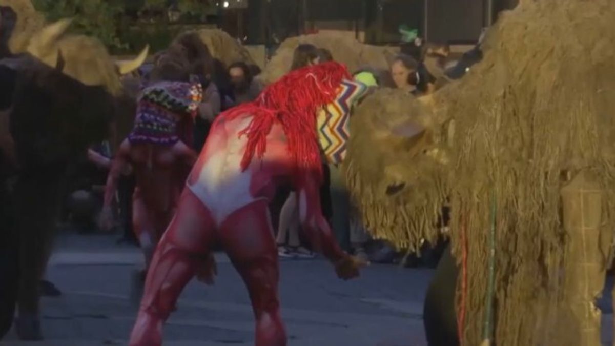 Mandria di 40 pupazzi di bisonte sfila per Manhattan alla "Buffalo March"