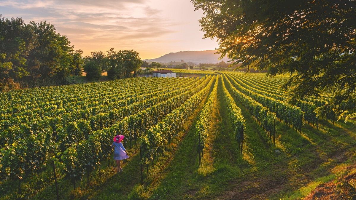 Franciacorta - ph Michele Rossetti