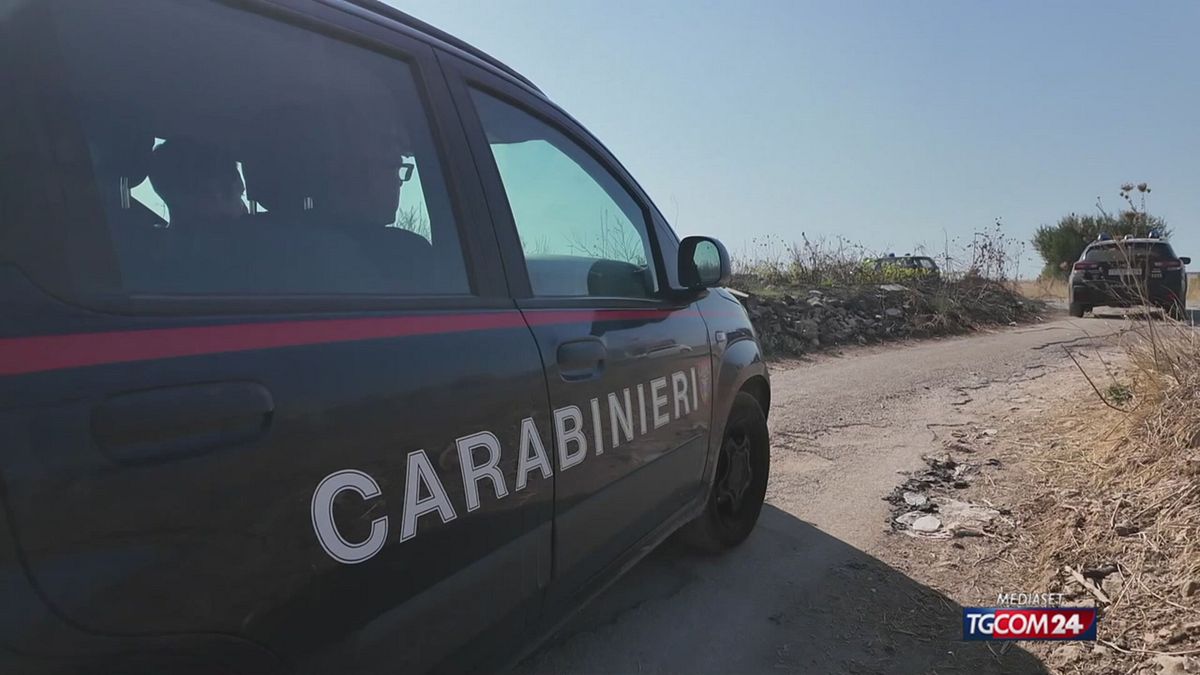 Emergenza lupi nel Barese: segnalati diversi esemplari