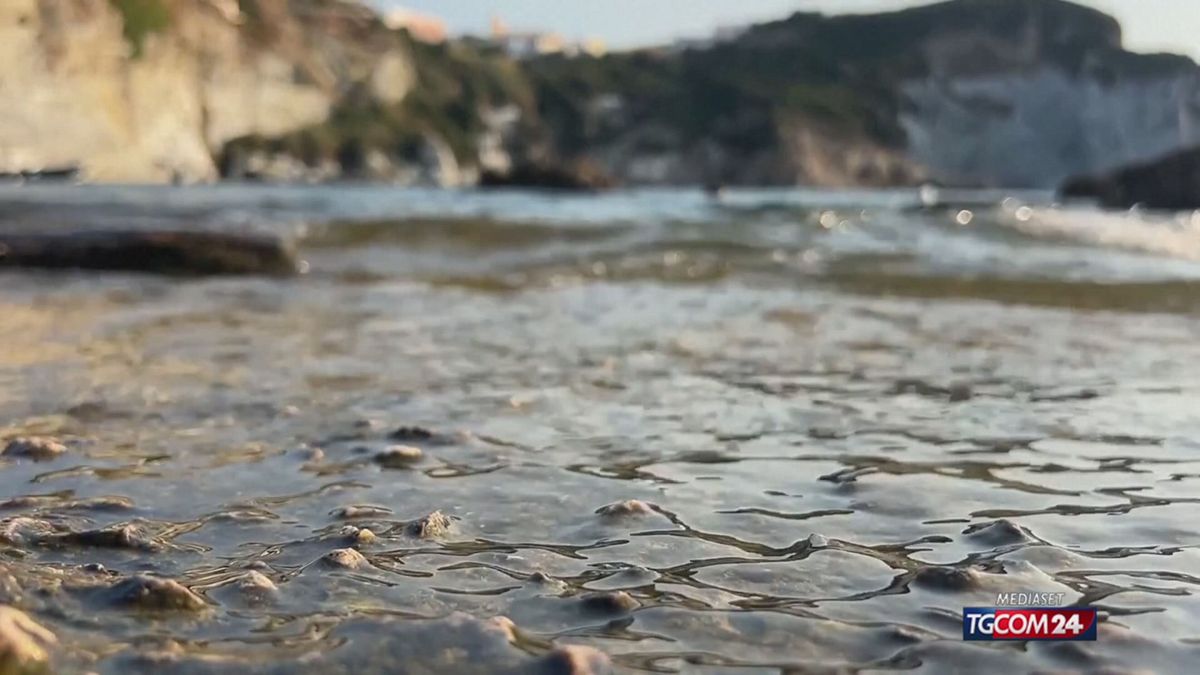 18.00 EL NINO ' GODZILLA' , NUOVO RECORD SRV