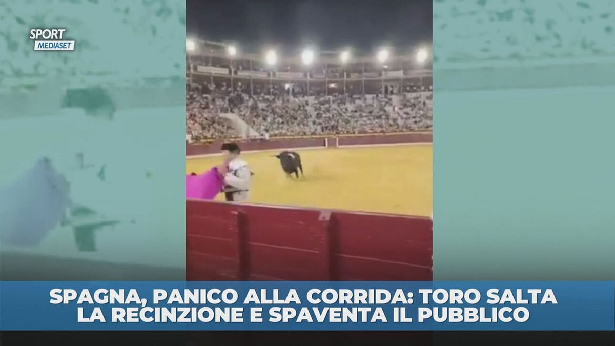Spagna, panico alla corrida: toro salta la recinzione e spaventa il pubblico