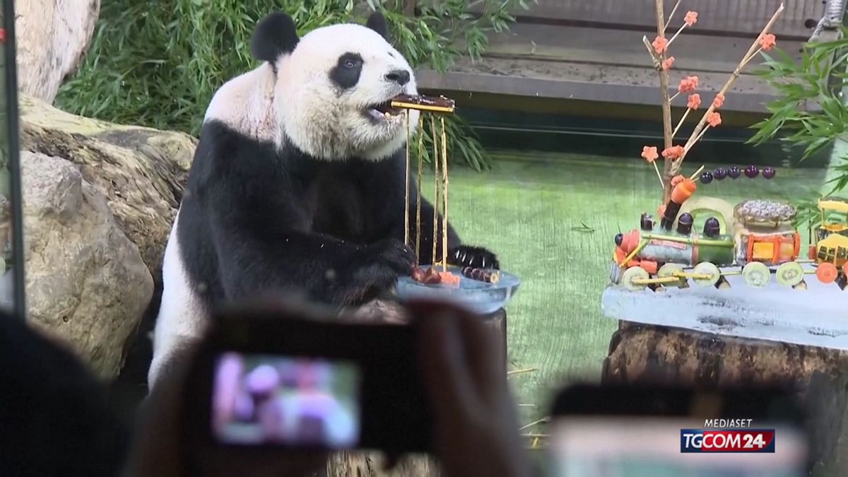 18.00 USA-CINA, TORNA LA DIPLOMAZIA DEI PANDA SRV