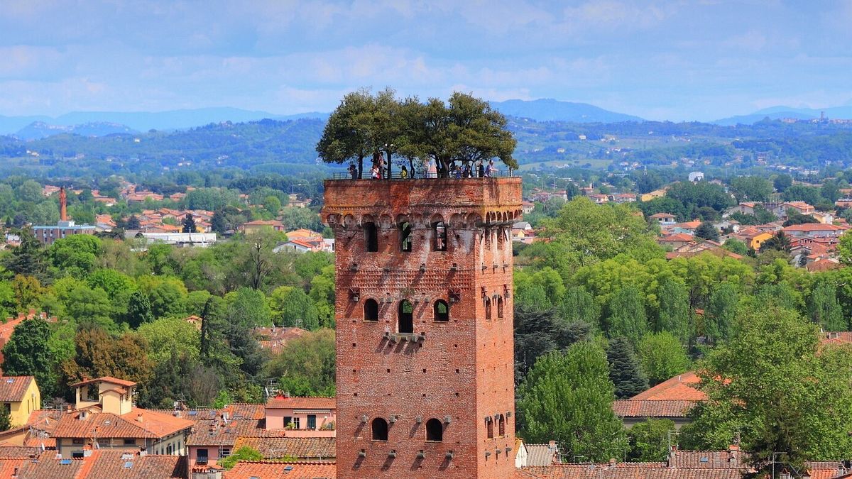 Torre Guinigi, Lucca  
