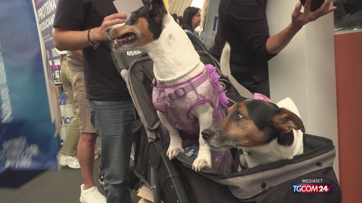Segrate, torna la fiera Quattrozampe: l'evento che celebra gli amici animali