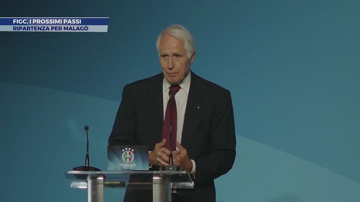 Figc, i prossimi passi
