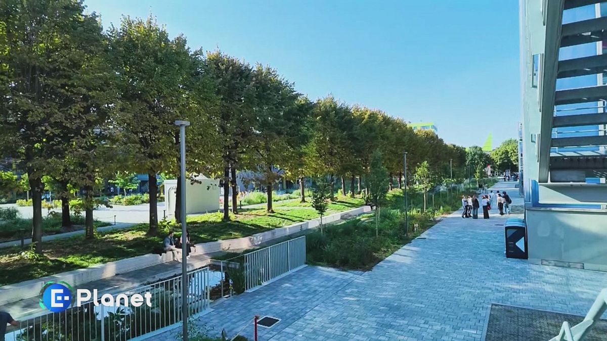 Città spugna: un modello per il futuro