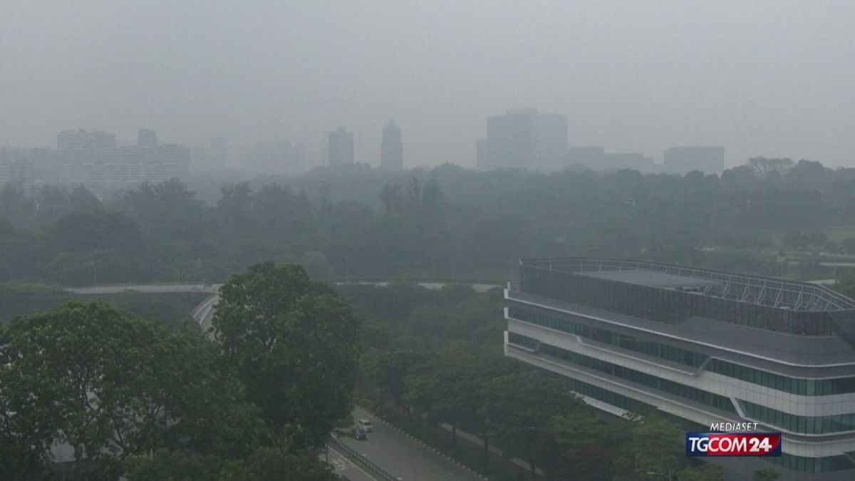 SMOG SINGAPORE SRV