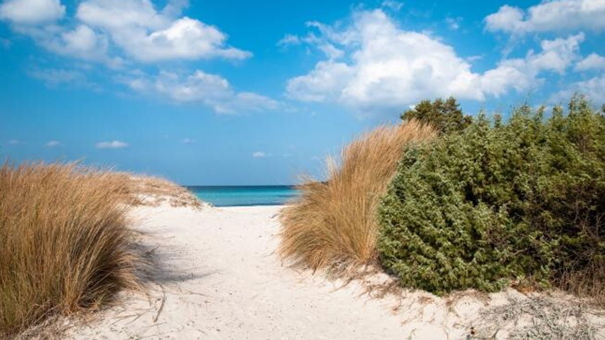 Sardegna, dune di sabbia della Spiaggia Pevero