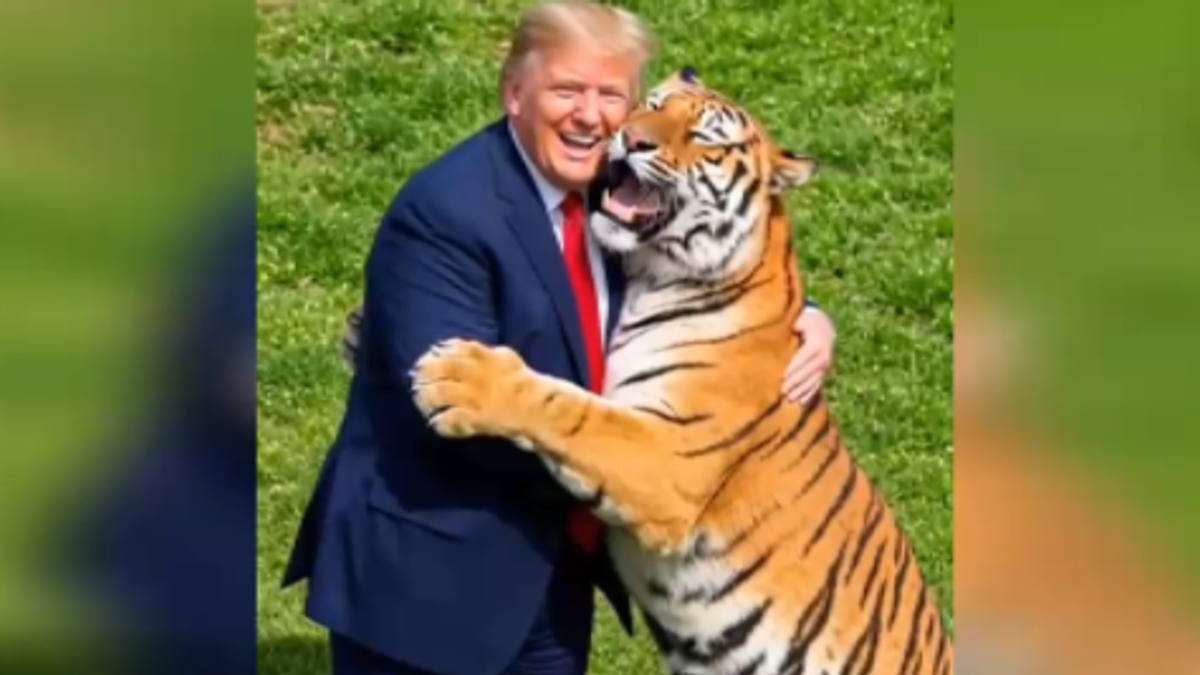 Trump rincorre e atterra una tigre: il video creato con l'IA