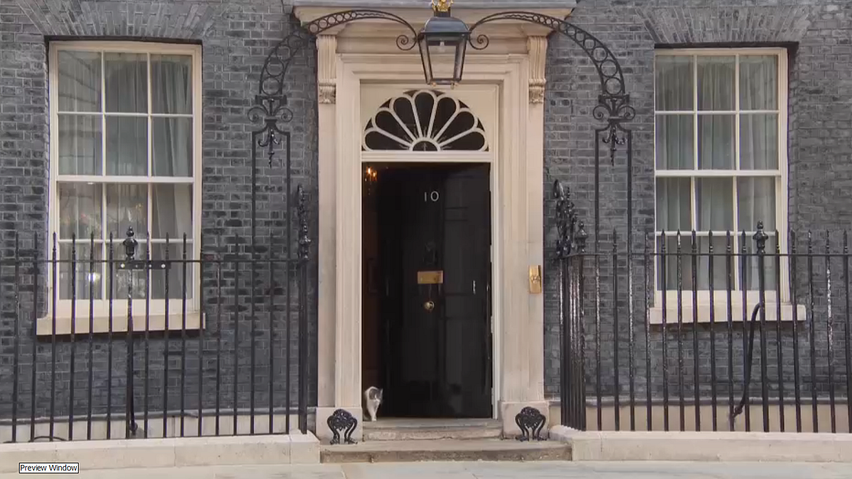 Il gatto Larry è salvo: riuscito l'intervento al (vero) numero uno di Downing Street