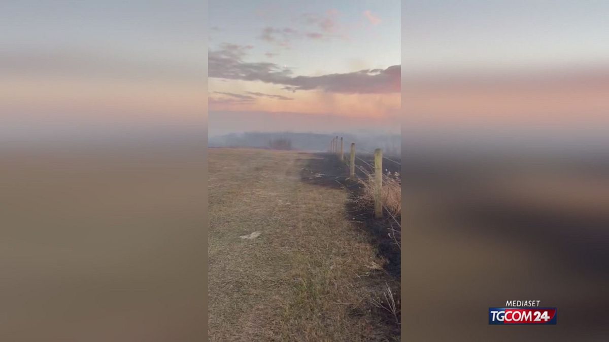 CANADA POST INCENDIO X SITO SRV