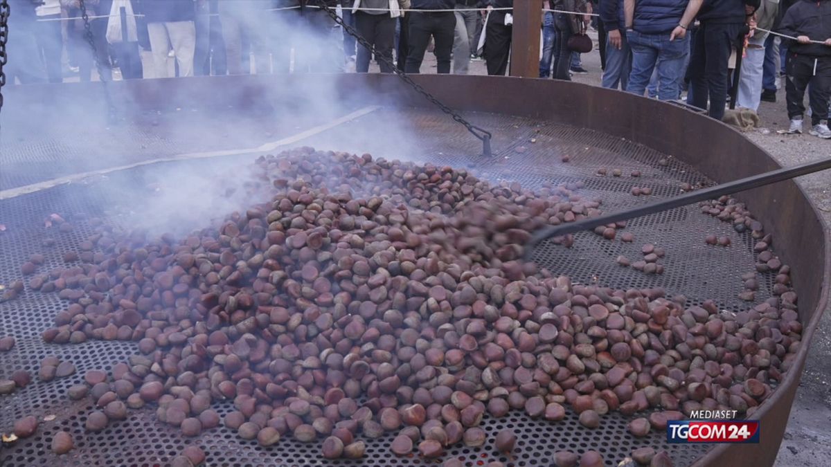 CASTAGNE SRV