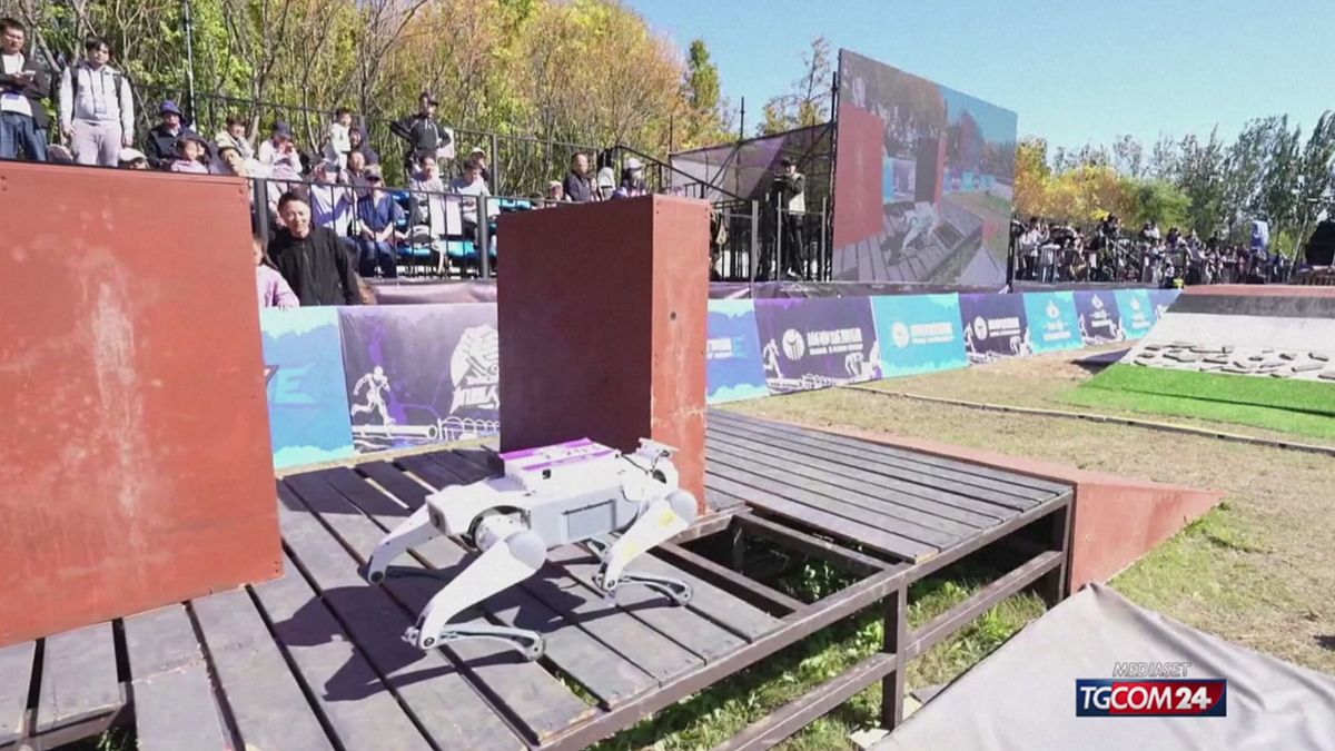 ROBOT PECHINO X SITO SRV
