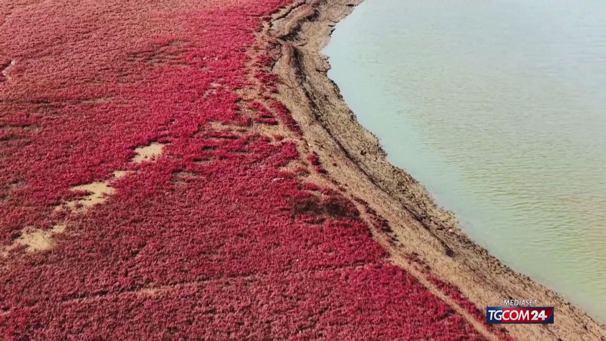 CINA; LA SPIAGGIA ROSSA SRV