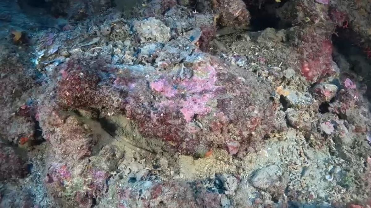 Scoperto un sito archeologico sommerso al largo di Camogli