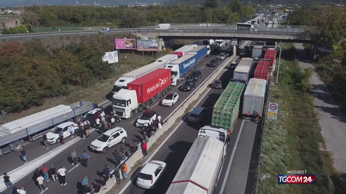 19.00 CARTA IGIENICA E PICCIONI SRV