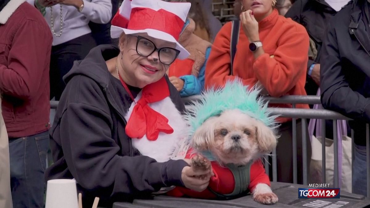 A New York la dog parade a tema Halloween