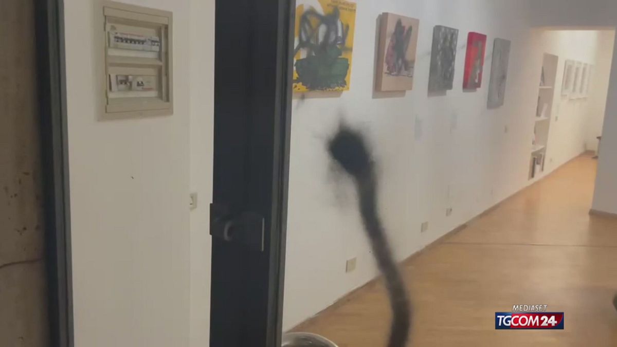LAIKA IMBRATTAMENTO SRV