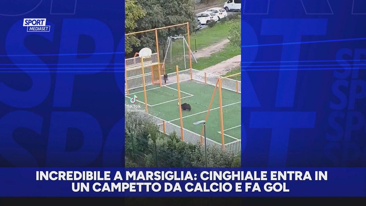 Marsiglia, c'è un nuovo bomber: cinghiale invade campetto da calcio e segna