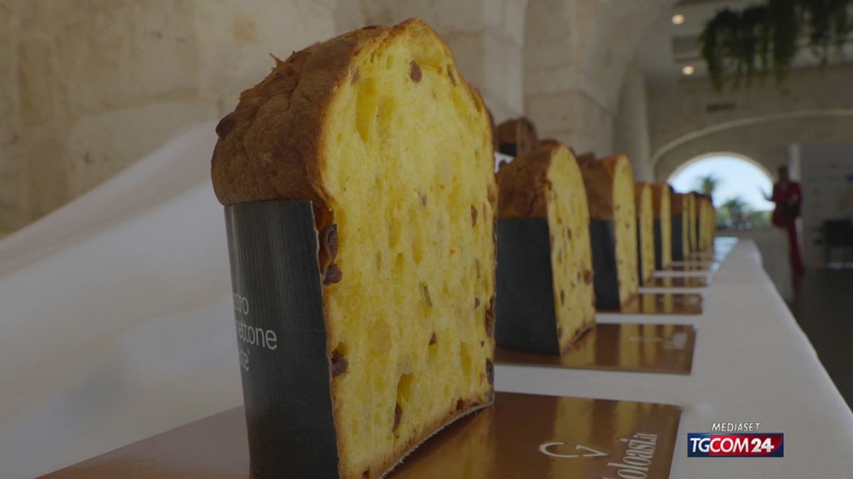 Mastro Panettone d'Élite, a Bari il concorso che vede in gara venti lievitati