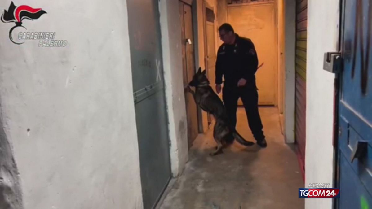 CARABINIERI SALVANO CUCCIOLI SRV