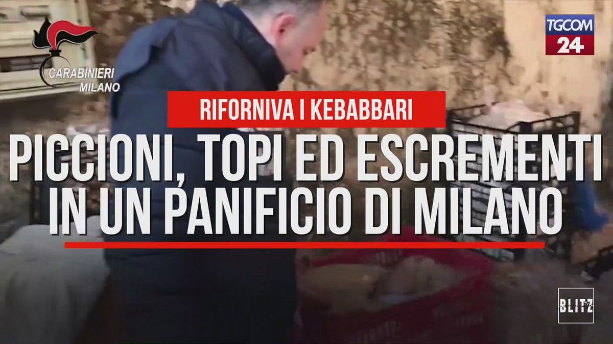 Piccioni, topi ed escrementi in un panificio di Milano