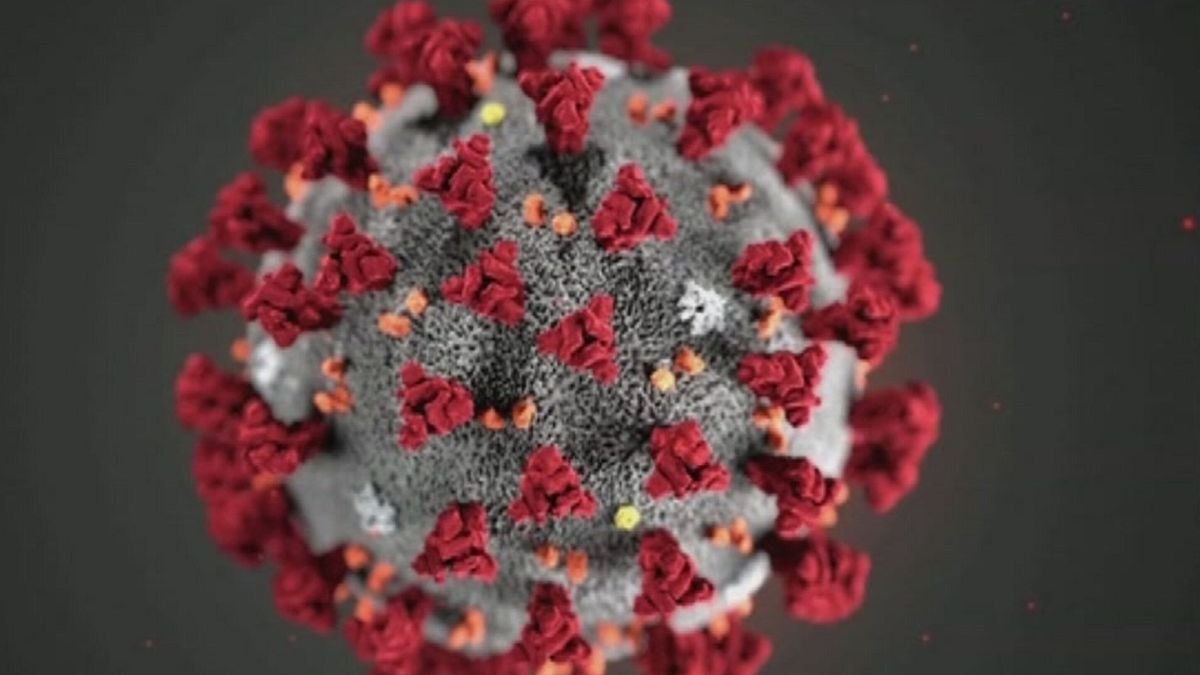 Intervista all'italiana che ha individuato il coronavirus