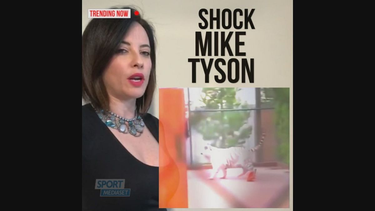 Tyson shock: "La mia tigre ha staccato il braccio ad una donna"