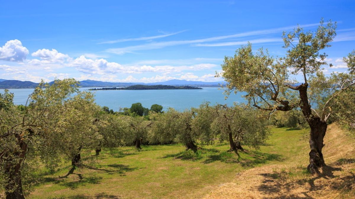 Trasimeno con l'Isola Polvese