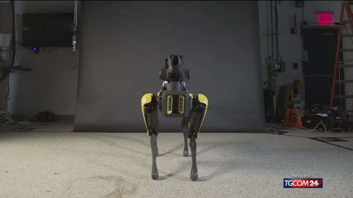 Arriva il cane robot che può aprire le porte