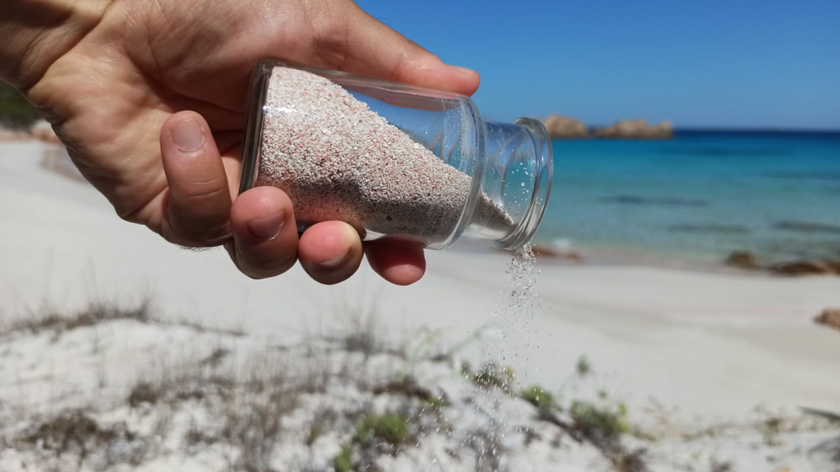 Spiaggia rosa Budelli in Sardegna