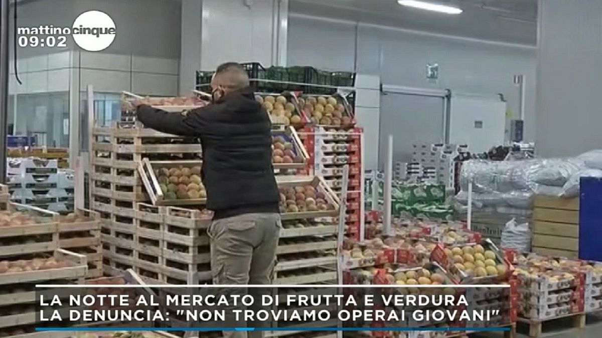 Lavoro, di notte all'ortomercato: "Italiani non vogliono svegliarsi presto, anche se lo stipendio è buono"