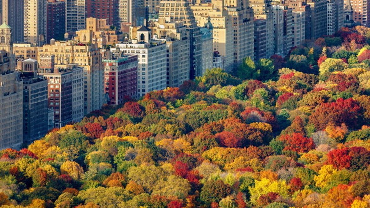  New York e il panorama di Central Park