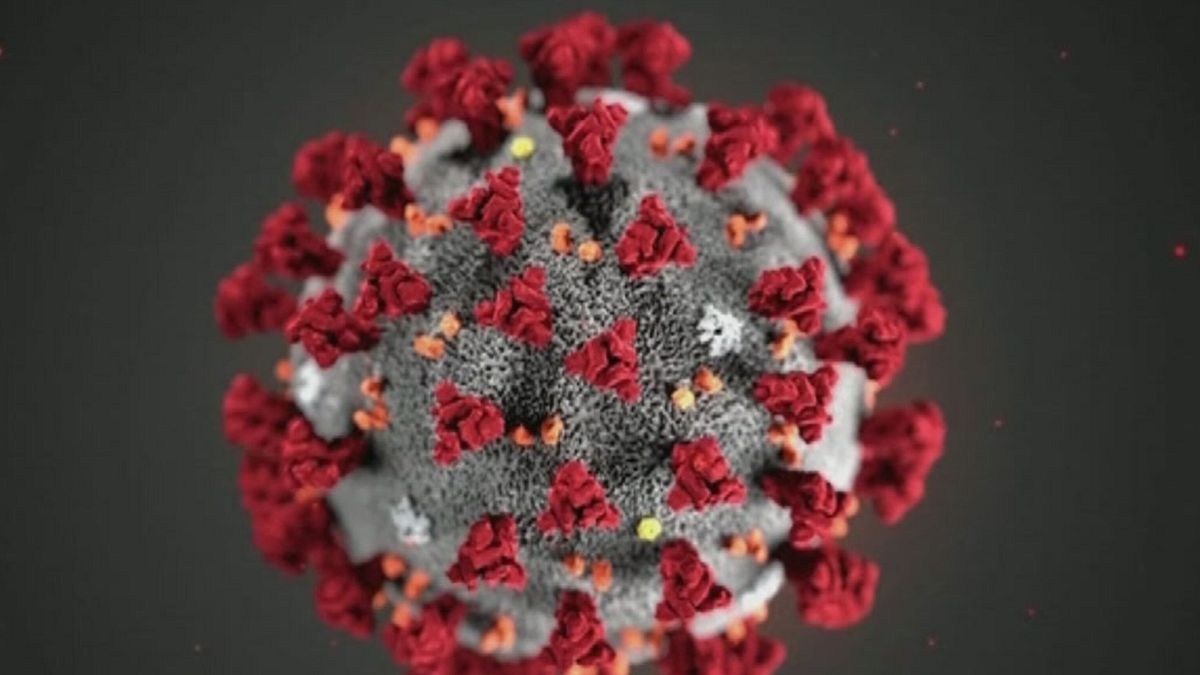 Coronavirus, i dubbi sulle modalità di contagio