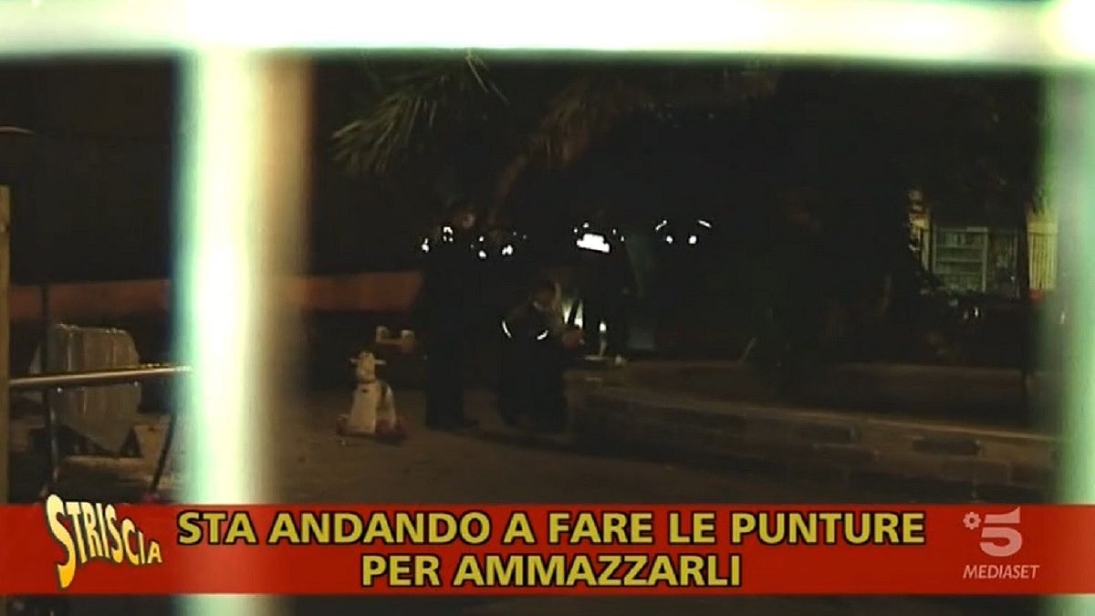 Cinghiali uccisi a Roma, le telecamere di "Striscia la Notizia" nel parco durante l'abbattimento