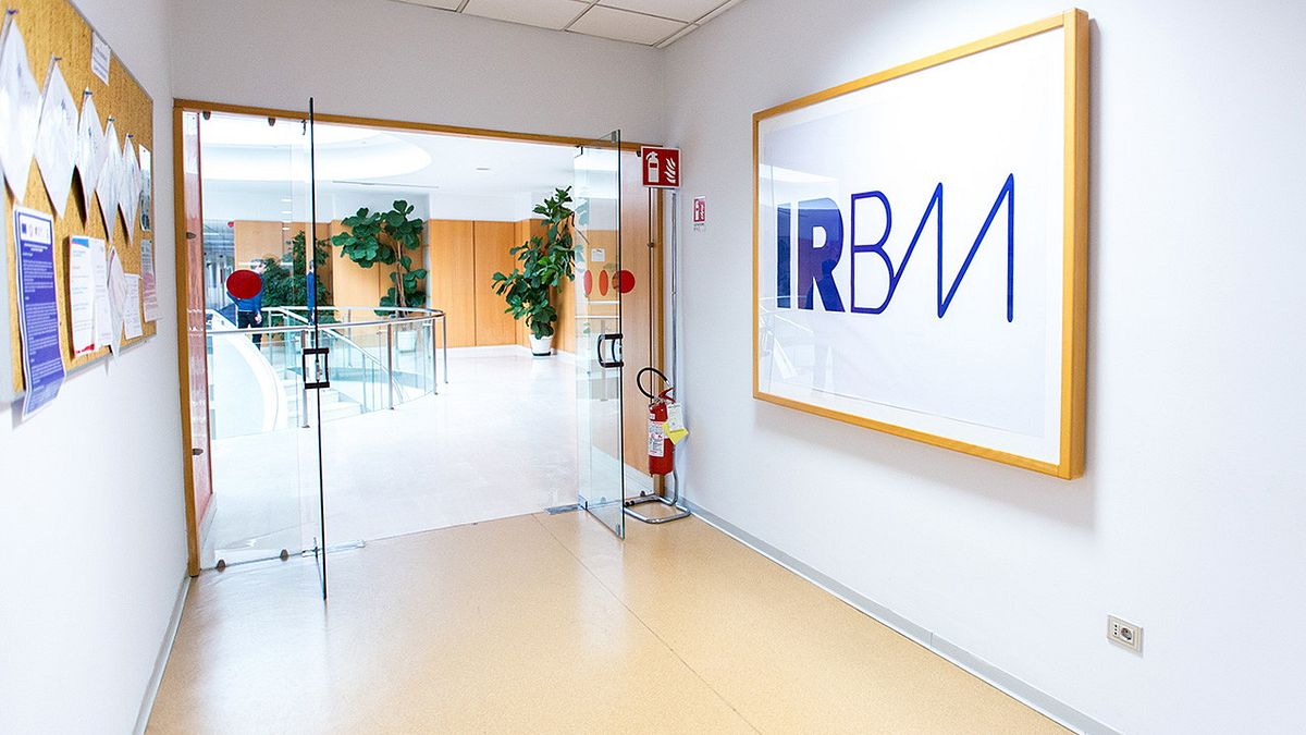 irbm-interni