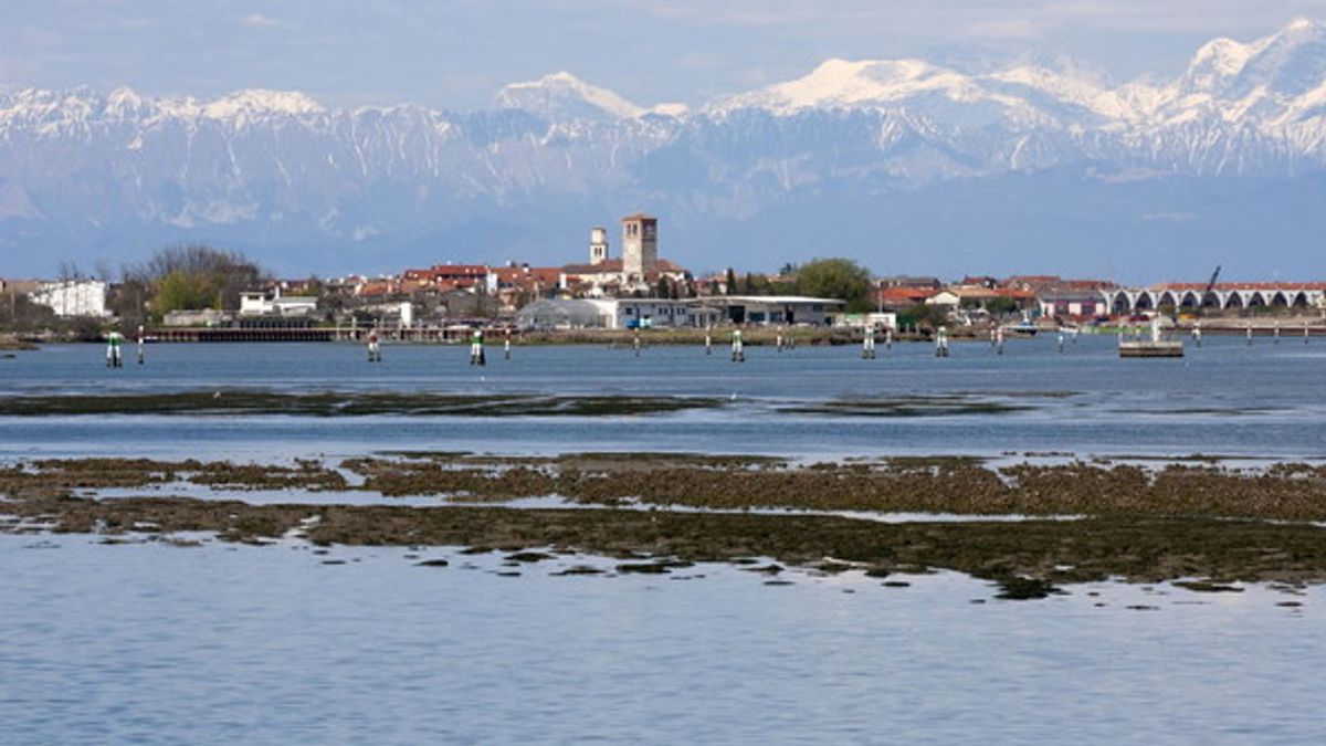 Laguna di Marano, foto di Glauco Vicario 