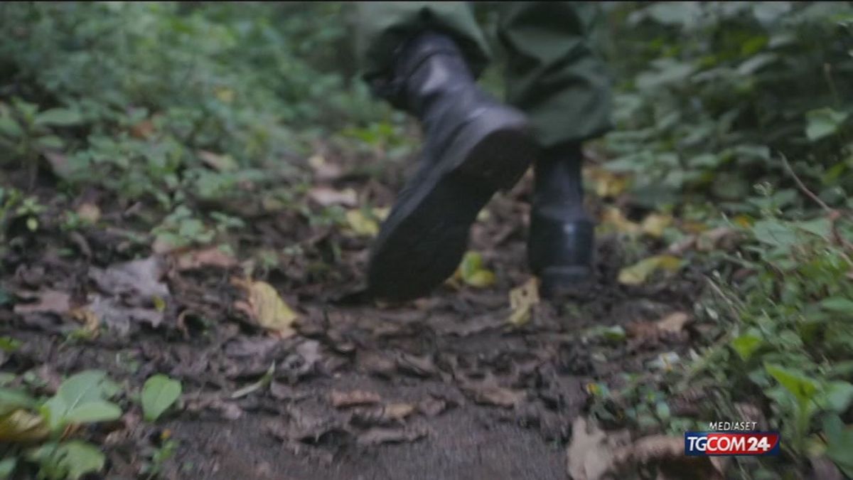 Sei ranger uccisi nel parco di Virunga: si pensa a bracconieri