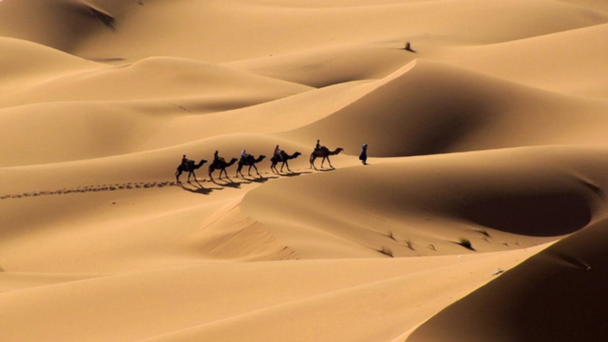 Oltre al Sahara, ci sono molti deserti sulla terra, immensi e affascinanti, ciascuno a modo suo
