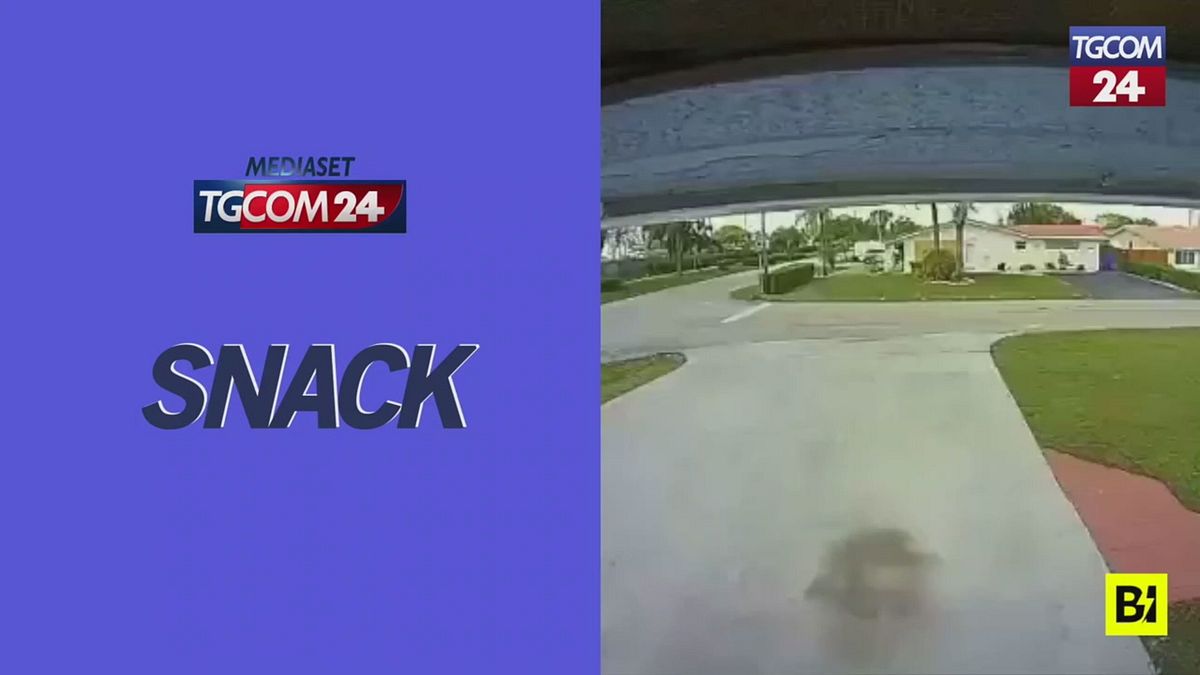 Miami, aereo precipita sulla strada e colpisce un Suv