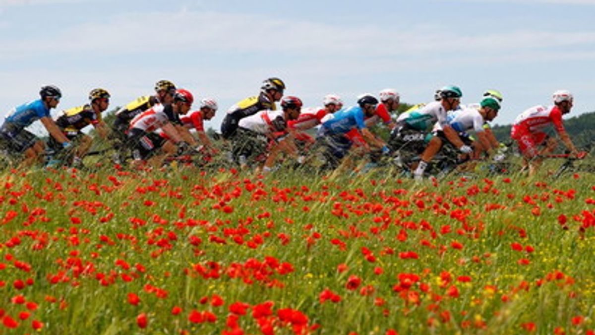  Seconda vittoria al Giro per lo slovacco. Sono invece 18 le vittorie complessive nei Grandi Giri ed è al terzo posto tra i corridori in attività, dietro a Mark Cavendish (48) e André Greipel (22).