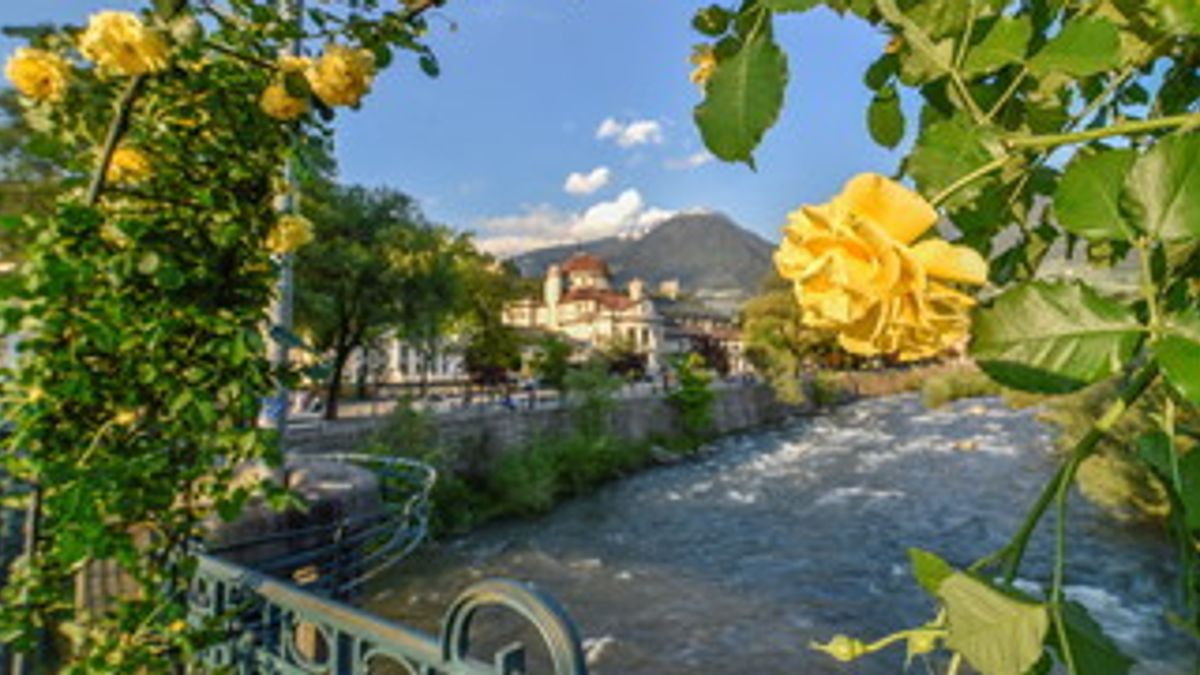  Merano Flower Festival  Foto Karlheinz Sollbauer