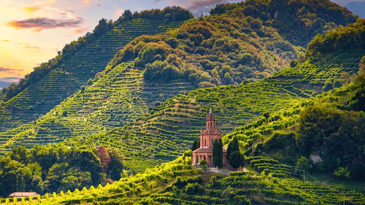 I vigneti della Valdobbiadene: Farra di Soligo