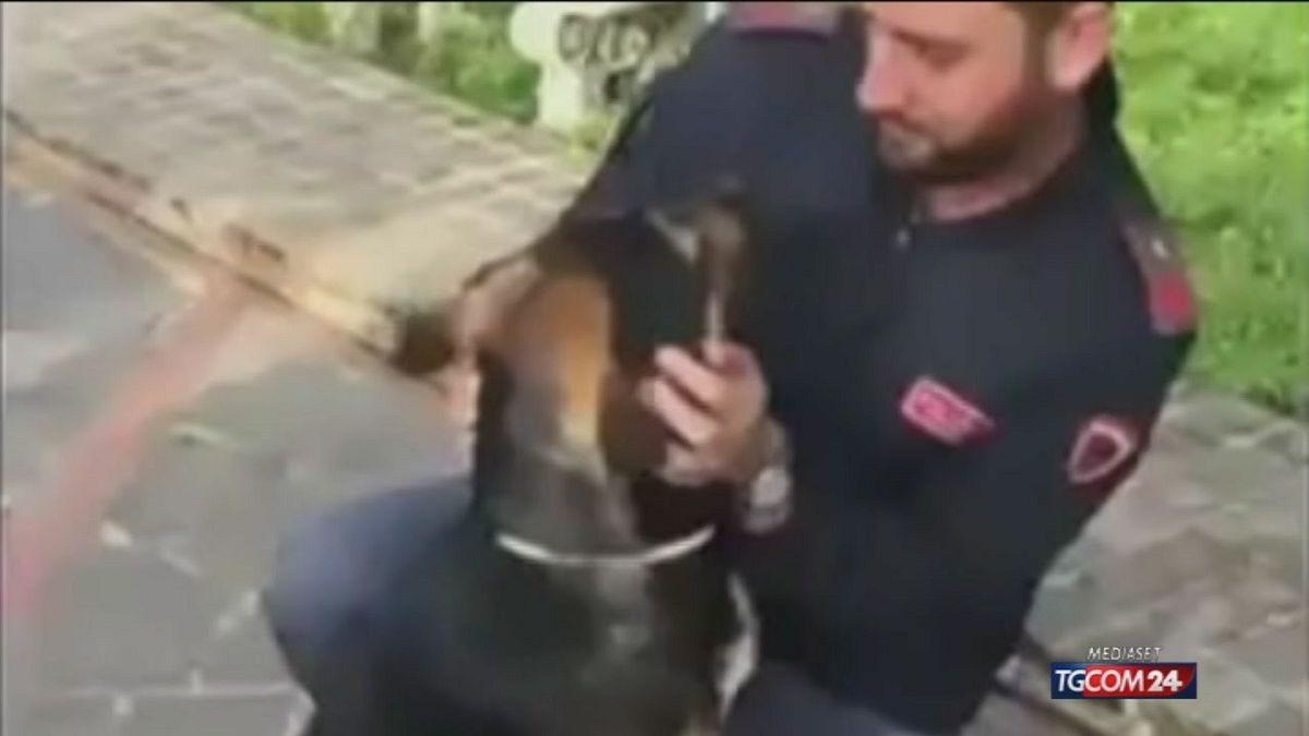 Palermo, 34enne "litiga" col cane e lo morde