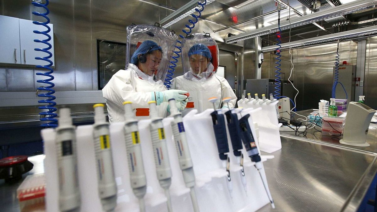 Cina, sfuggito batterio brucellosi a un laboratorio