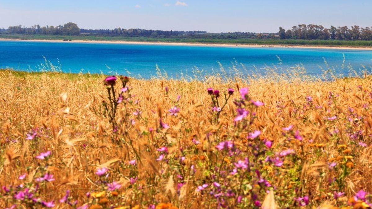  Colori e natura