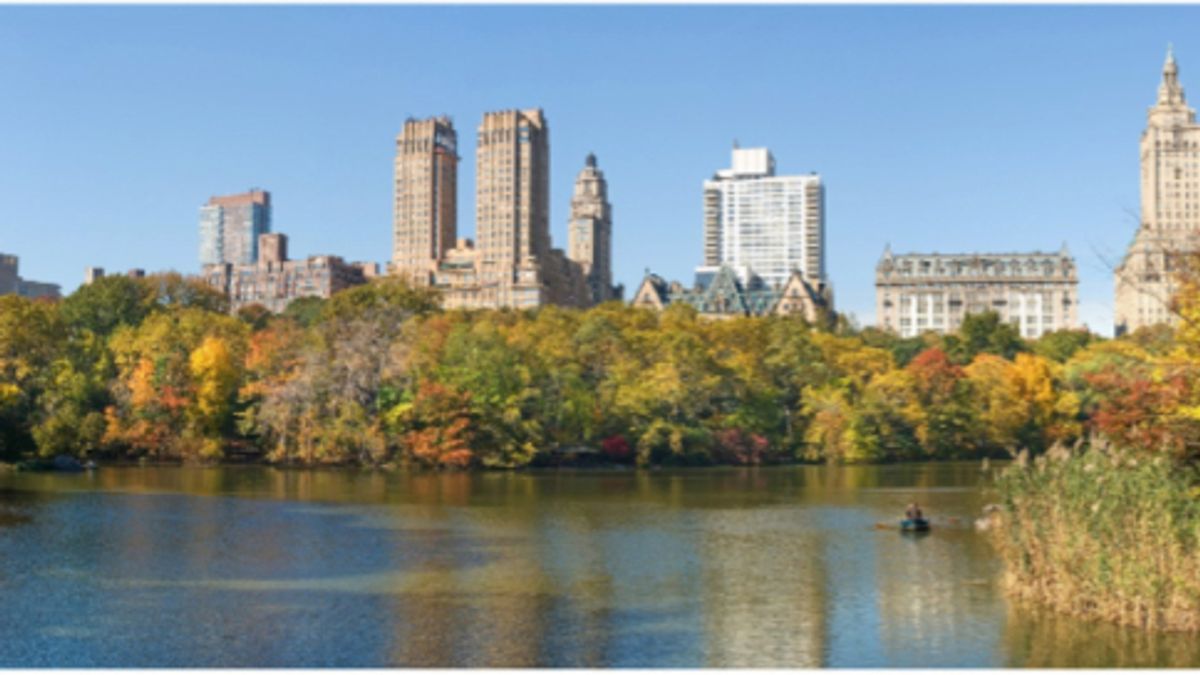 
      Central Park, foliage
   